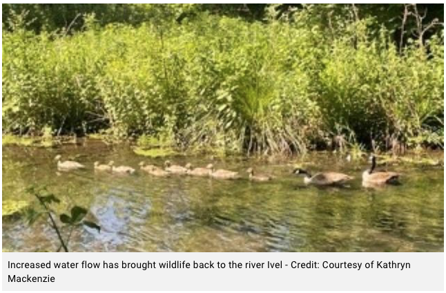 comet article June 2021