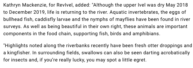 comet article June 2021