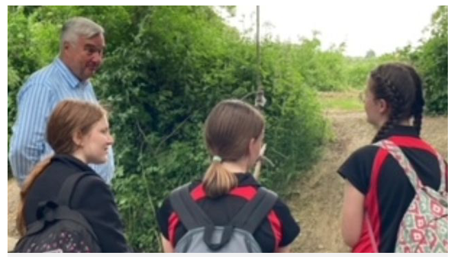 from comet June 2021