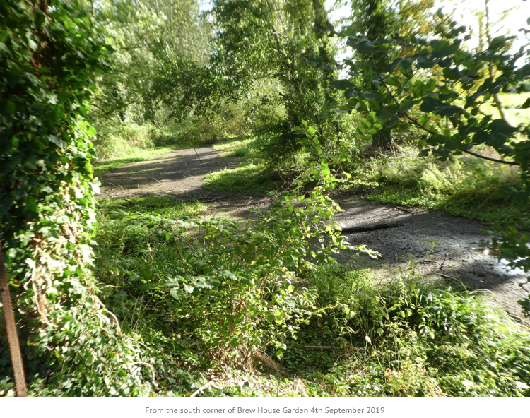 from first RevIvel website