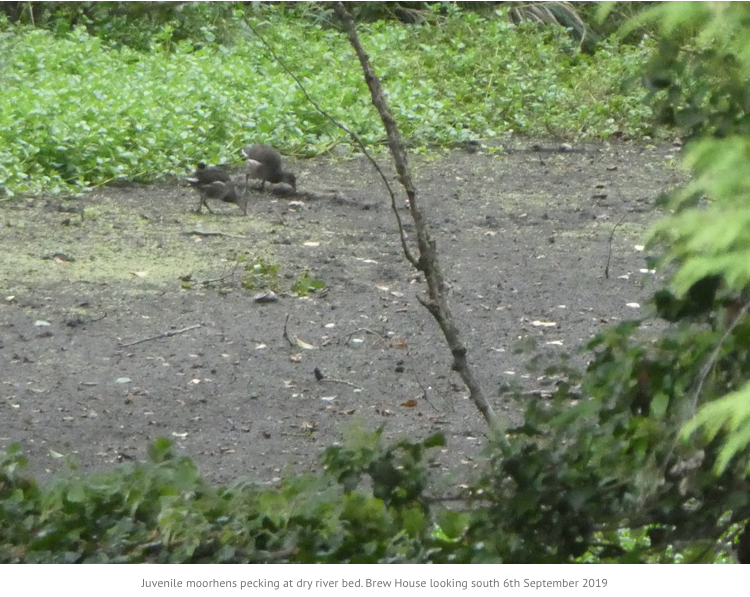 from first RevIvel websitefrom first RevIvel websitefrom first RevIvel websitefrom first RevIvel websitefrom first RevIvel websitefrom first RevIvel website