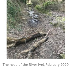 from first RevIvel website