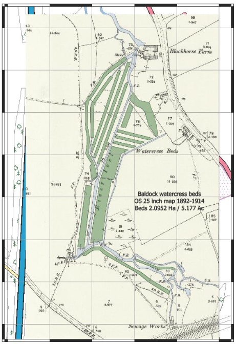 from first RevIvel website